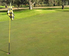 Wentworth Sporting Complex - Sunshine Coast Tourism 0