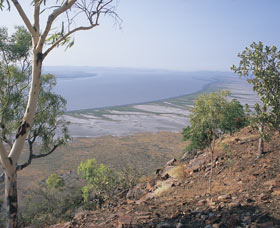 Cambridge Gulf - Sunshine Coast Tourism 0