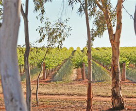 Trentham Estate Winery - Sunshine Coast Tourism 4