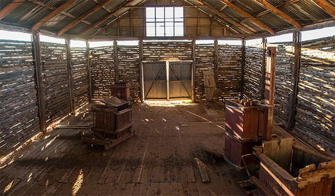 Mungo Woolshed - Holiday Sunshine Coast 1