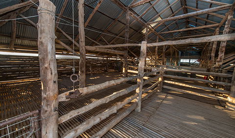 Mungo Woolshed - Holiday Sunshine Coast 2