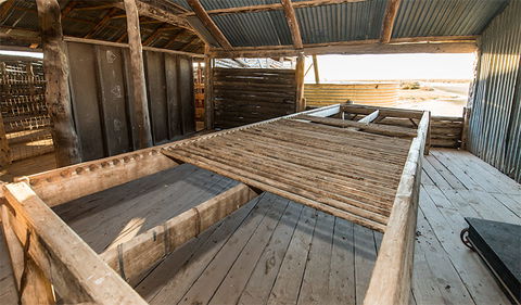 Mungo Woolshed - Holiday Sunshine Coast 3