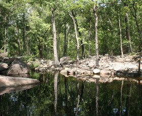 Gubara - Sunshine Coast Tourism 0