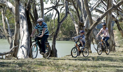Yanga Woolshed Picnic Area - Holiday Sunshine Coast 1