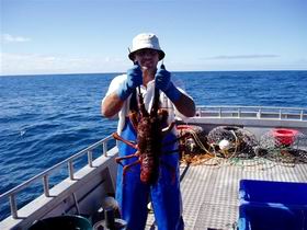 Lacepede Seafood - Holiday Sunshine Coast 2