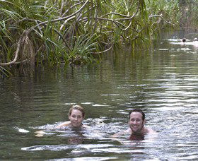 Berry Springs Nature Park - Holiday Sunshine Coast 1