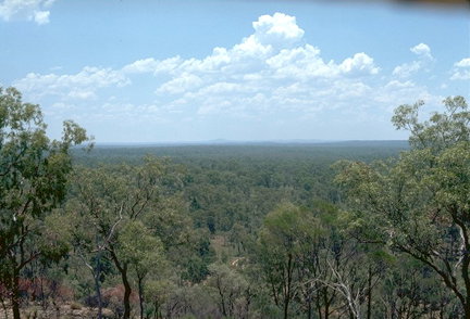 Ka Ka Mundi, Carnarvon National Park - Sunshine Coast Tourism 1