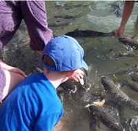 Aquascene - Holiday Sunshine Coast