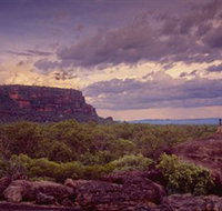 Nature's Way - Holiday Sunshine Coast