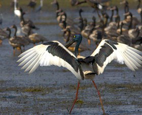 Nature's Way - Sunshine Coast Tourism 1