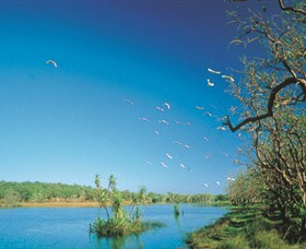 Nature's Way - Sunshine Coast Tourism 5