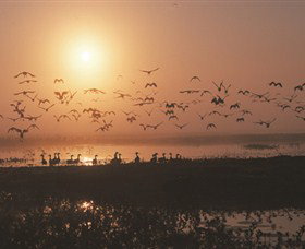 Nature's Way - Sunshine Coast Tourism 6