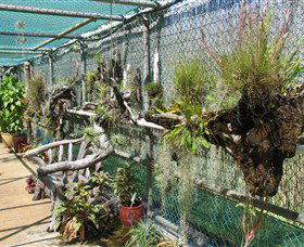 George Brown Darwin Botanic Gardens - Sunshine Coast Tourism 5