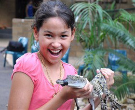 Crocodylus Park - Holiday Sunshine Coast 1