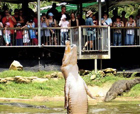 Crocodylus Park - Holiday Sunshine Coast 0