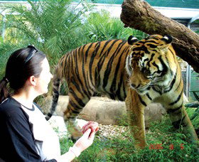 Crocodylus Park - Holiday Sunshine Coast 2