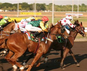 Darwin Turf Club - Holiday Sunshine Coast 1