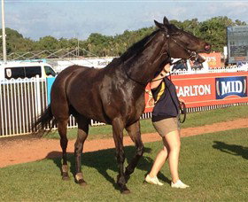 Darwin Turf Club - Holiday Sunshine Coast 2