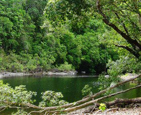 Broadwater, Abergowrie State Forest - Holiday Sunshine Coast 0