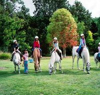 Limestone Coast Horseriding - Sunshine Coast Tourism