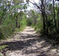 Lanky's Walk - Sunshine Coast Tourism