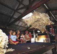 Shear Outback the Australian Shearers Hall of Fame