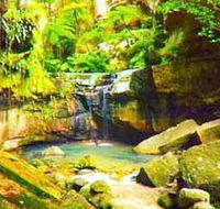 Carnarvon Gorge Carnarvon National Park