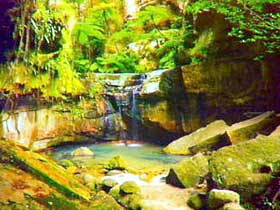 Carnarvon Gorge, Carnarvon National Park - Sunshine Coast Tourism 0
