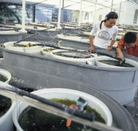 James Cook University of North Queensland - Sunshine Coast Tourism