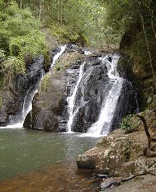 Pepina Falls - Holiday Sunshine Coast 0