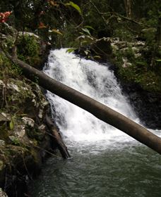 Souita Falls - Sunshine Coast Tourism 0