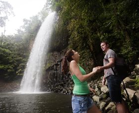 Millaa Millaa Falls - Holiday Sunshine Coast 0