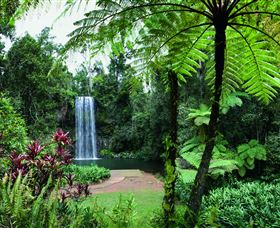 Millaa Millaa Falls - Holiday Sunshine Coast 2