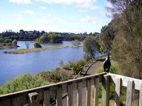 Lake McIntyre - Holiday Sunshine Coast 0