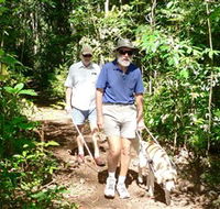 Wongabel State Forest