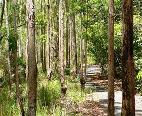 Hallorans Hill Conservation Park - Sunshine Coast Tourism 0