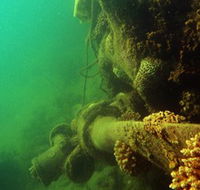 Wreck Diving at Magnetic Island - Sunshine Coast Tourism