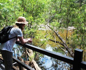 Mount Elliot, Bowling Green Bay National Park - Holiday Sunshine Coast 1