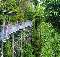 Mamu Tropical Skywalk - Holiday Sunshine Coast