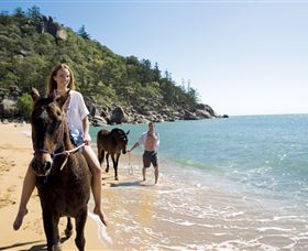 Horseshoe Bay - Sunshine Coast Tourism 1