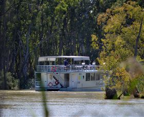Wetlander Cruises - Holiday Sunshine Coast 2