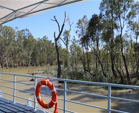 Wetlander Cruises - Holiday Sunshine Coast 6