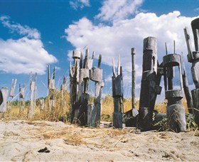 Tiwi Islands - Sunshine Coast Tourism 1