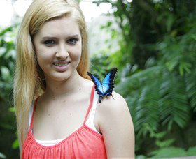 Australian Butterfly Sanctuary - Holiday Sunshine Coast 0