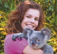 Kuranda Koala Gardens - Sunshine Coast Tourism