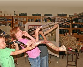 The Bible Museum - Sunshine Coast Tourism 2
