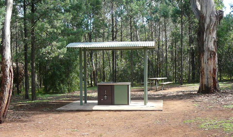 Jacks Creek Walking Track - Holiday Sunshine Coast 1