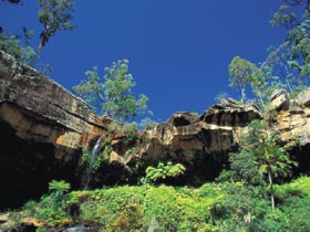 Blackdown Tableland National Park - Holiday Sunshine Coast 1