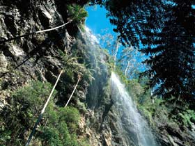 Blackdown Tableland National Park - Holiday Sunshine Coast 2