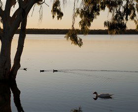 Lake Elphinstone - Holiday Sunshine Coast 2